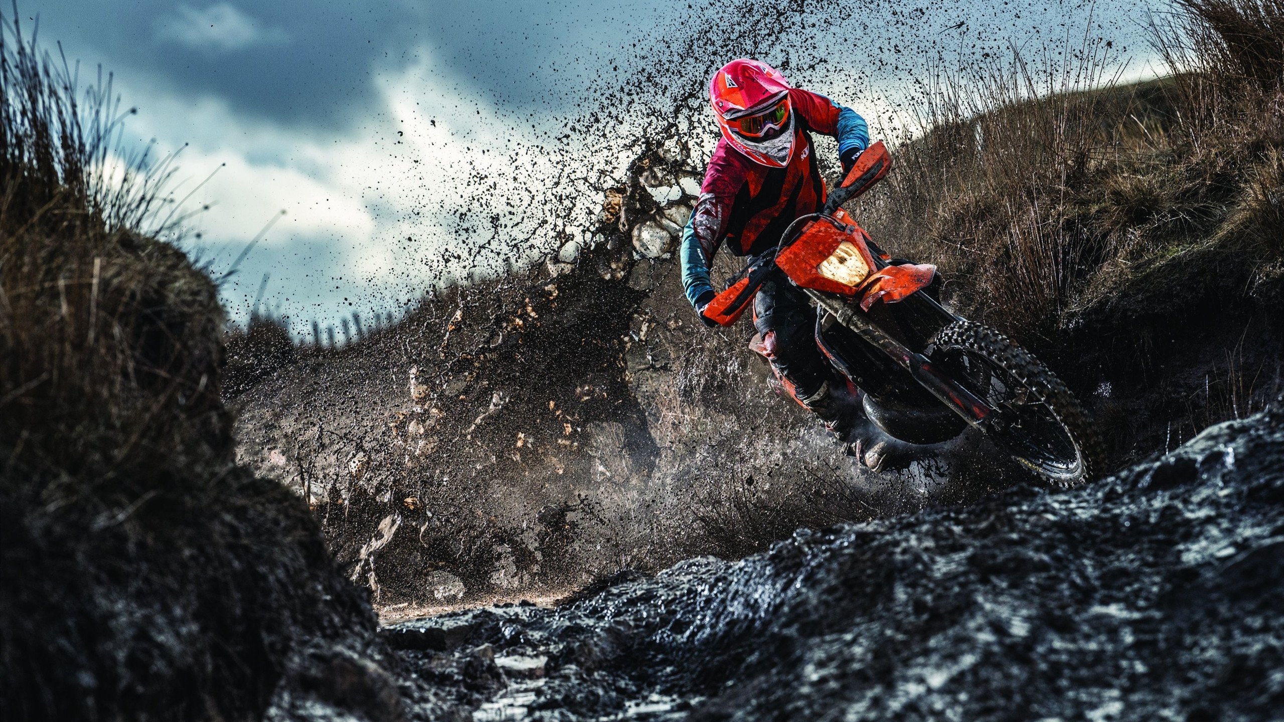 中国跳水队再获多枚奖牌